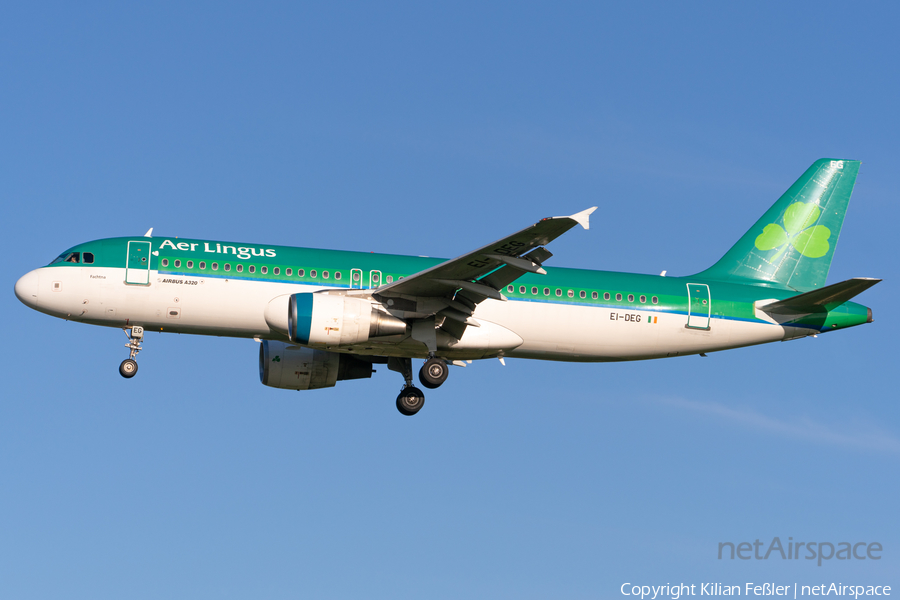 Aer Lingus Airbus A320-214 (EI-DEG) | Photo 593545