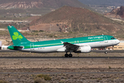 Aer Lingus Airbus A320-214 (EI-DEG) at  Tenerife Sur - Reina Sofia, Spain