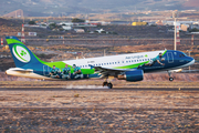 Aer Lingus Airbus A320-214 (EI-DEG) at  Tenerife Sur - Reina Sofia, Spain