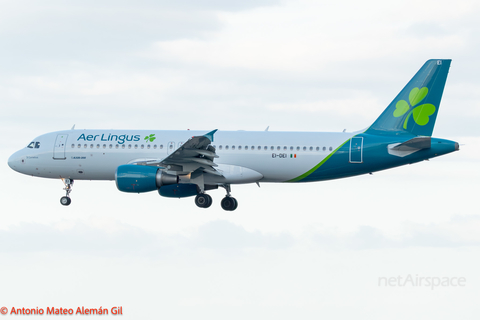 Aer Lingus Airbus A320-214 (EI-DEI) at  Gran Canaria, Spain