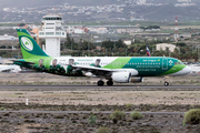 Aer Lingus Airbus A320-214 (EI-DEI) at  Tenerife Sur - Reina Sofia, Spain