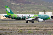 Aer Lingus Airbus A320-214 (EI-DEI) at  Tenerife Sur - Reina Sofia, Spain
