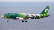 Aer Lingus Airbus A320-214 (EI-DEI) at  Tenerife Sur - Reina Sofia, Spain