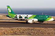 Aer Lingus Airbus A320-214 (EI-DEI) at  Tenerife Sur - Reina Sofia, Spain