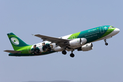 Aer Lingus Airbus A320-214 (EI-DEI) at  Tenerife Sur - Reina Sofia, Spain