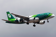 Aer Lingus Airbus A320-214 (EI-DEI) at  Tenerife Sur - Reina Sofia, Spain