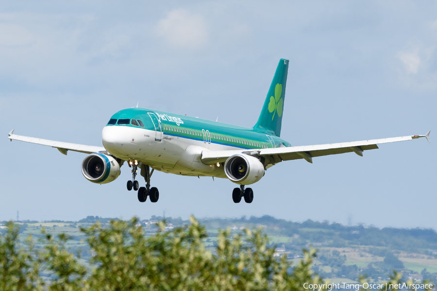 Aer Lingus Airbus A320-214 (EI-DEJ) | Photo 517994