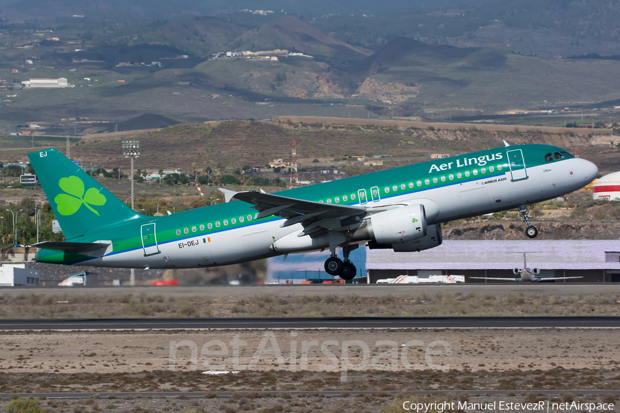 Aer Lingus Airbus A320-214 (EI-DEJ) | Photo 134657