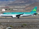 Aer Lingus Airbus A320-214 (EI-DEJ) at  Tenerife Sur - Reina Sofia, Spain