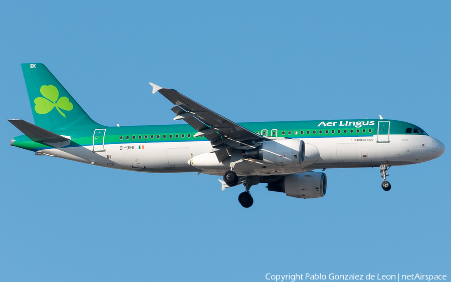 Aer Lingus Airbus A320-214 (EI-DEK) | Photo 340688
