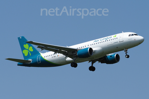 Aer Lingus Airbus A320-214 (EI-DEL) at  London - Heathrow, United Kingdom