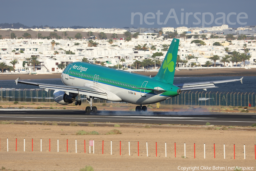 Aer Lingus Airbus A320-214 (EI-DEM) | Photo 364095