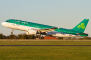 Aer Lingus Airbus A320-214 (EI-DEM) at  Dublin, Ireland