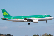 Aer Lingus Airbus A320-214 (EI-DEN) at  Dublin, Ireland