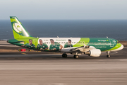 Aer Lingus Airbus A320-214 (EI-DEO) at  Tenerife Sur - Reina Sofia, Spain