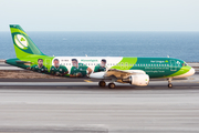 Aer Lingus Airbus A320-214 (EI-DEO) at  Tenerife Sur - Reina Sofia, Spain