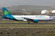 Aer Lingus Airbus A320-214 (EI-DEO) at  Tenerife Sur - Reina Sofia, Spain