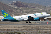 Aer Lingus Airbus A320-214 (EI-DEO) at  Tenerife Sur - Reina Sofia, Spain