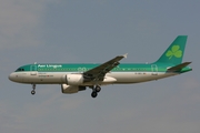 Aer Lingus Airbus A320-214 (EI-DES) at  Frankfurt am Main, Germany