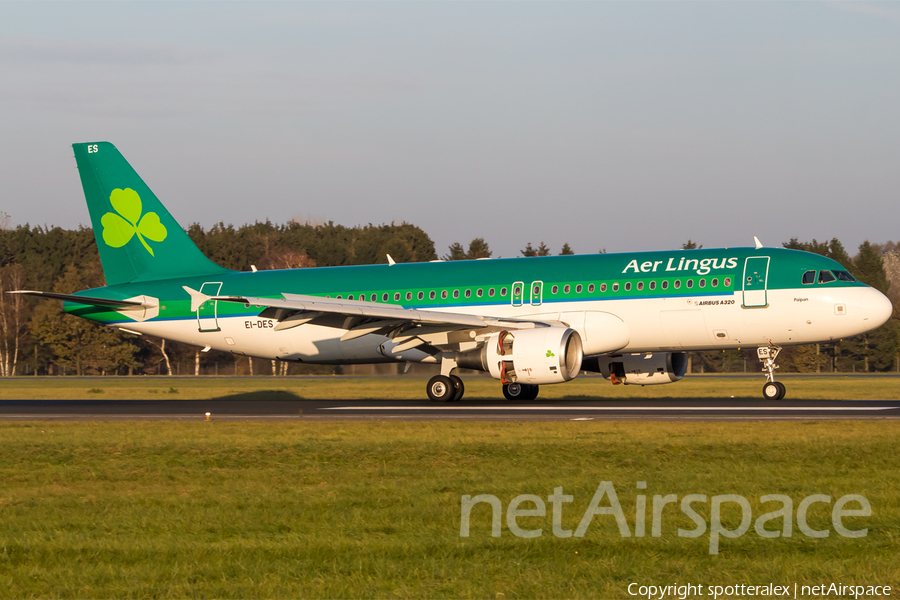 Aer Lingus Airbus A320-214 (EI-DES) | Photo 130806