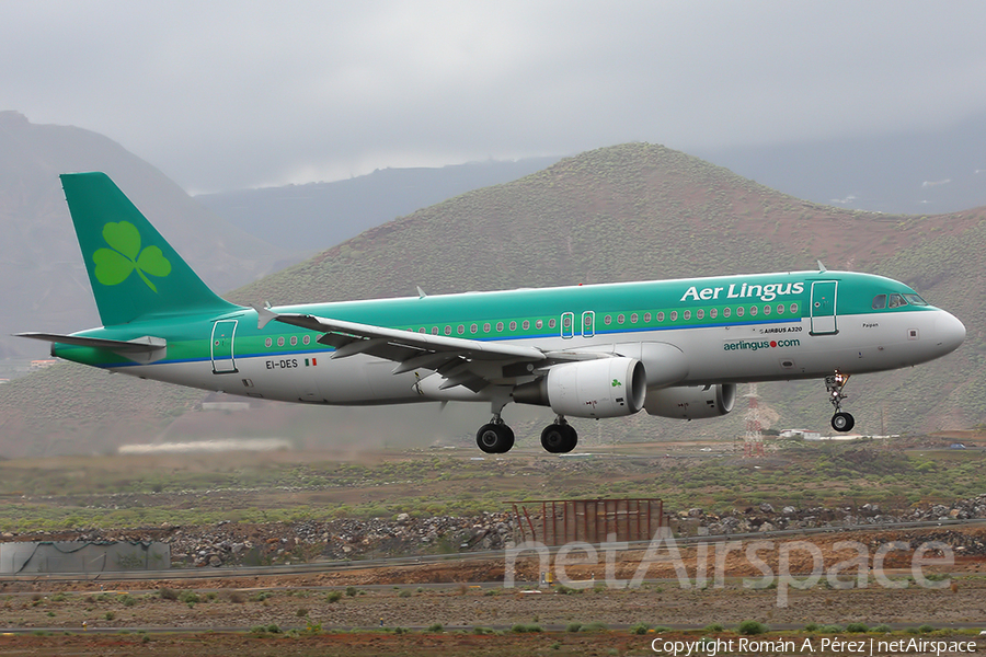 Aer Lingus Airbus A320-214 (EI-DES) | Photo 282207