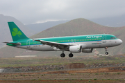 Aer Lingus Airbus A320-214 (EI-DES) at  Tenerife Sur - Reina Sofia, Spain