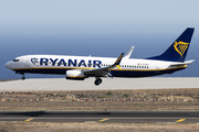 Ryanair Boeing 737-8AS (EI-DHG) at  Tenerife Sur - Reina Sofia, Spain