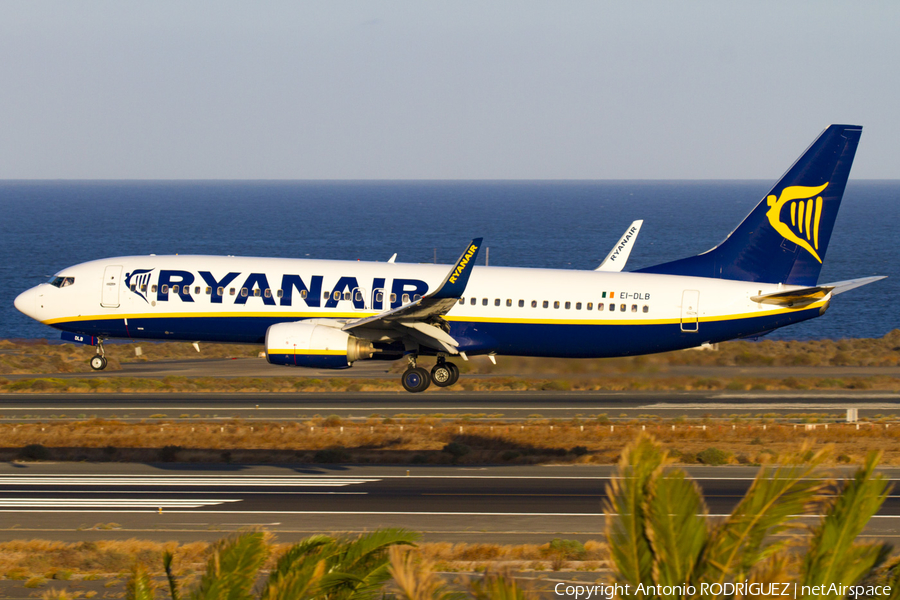 Ryanair Boeing 737-8AS (EI-DLB) | Photo 123255