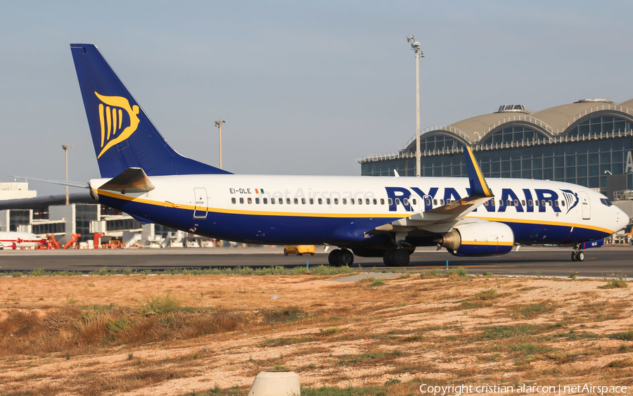 Ryanair Boeing 737-8AS (EI-DLE) | Photo 206490