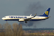 Ryanair Boeing 737-8AS (EI-DLE) at  Budapest - Ferihegy International, Hungary