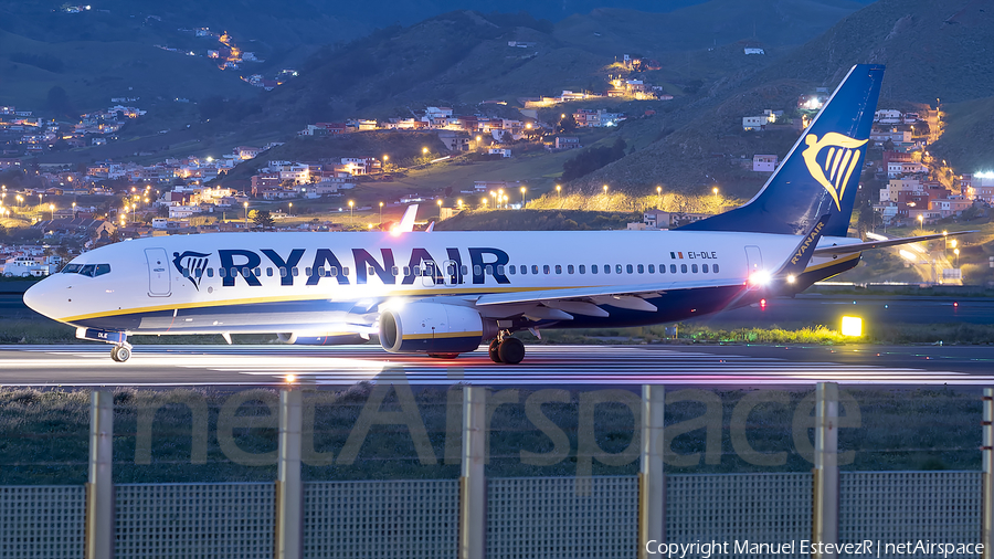 Ryanair Boeing 737-8AS (EI-DLE) | Photo 501973