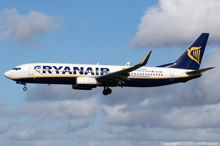 Ryanair Boeing 737-8AS (EI-DLI) | Photo 149754