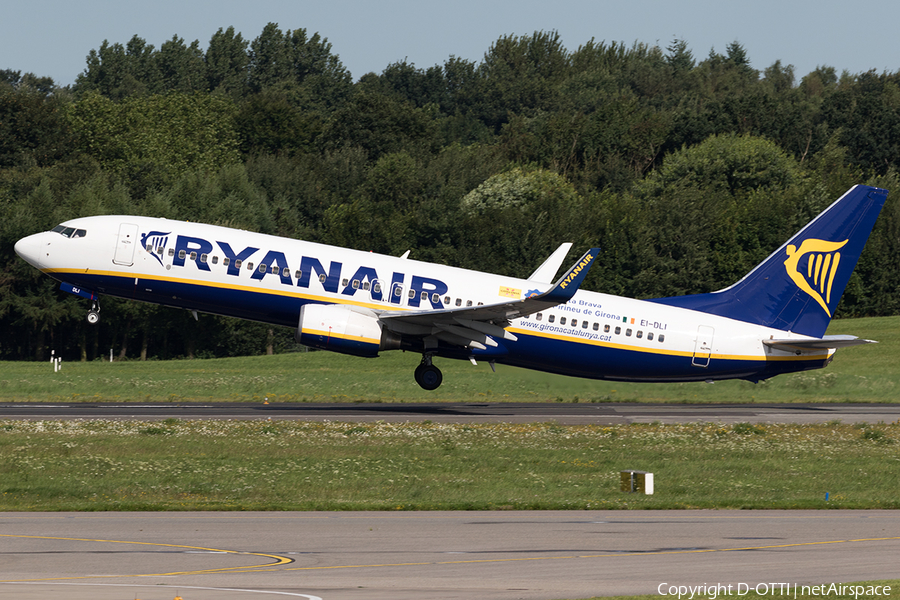 Ryanair Boeing 737-8AS (EI-DLI) | Photo 178784