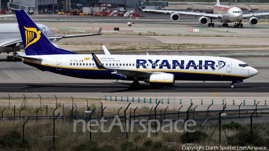 Ryanair Boeing 737-8AS (EI-DLI) | Photo 236106