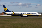 Ryanair Boeing 737-8AS (EI-DLK) at  Amsterdam - Schiphol, Netherlands