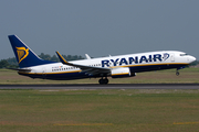 Ryanair Boeing 737-8AS (EI-DLN) at  Berlin - Schoenefeld, Germany