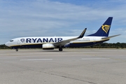 Ryanair Boeing 737-8AS (EI-DLO) at  Cologne/Bonn, Germany