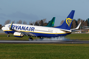 Ryanair Boeing 737-8AS (EI-DLR) at  Dublin, Ireland