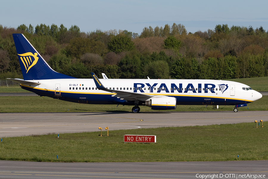 Ryanair Boeing 737-8AS (EI-DLY) | Photo 161325