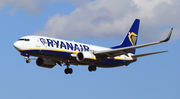 Ryanair Boeing 737-8AS (EI-DPB) at  Barcelona - El Prat, Spain