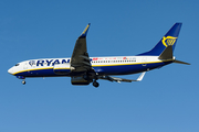 Ryanair Boeing 737-8AS (EI-DPG) at  Barcelona - El Prat, Spain