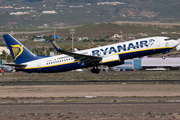 Ryanair Boeing 737-8AS (EI-DPG) at  Tenerife Sur - Reina Sofia, Spain