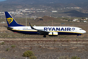 Ryanair Boeing 737-8AS (EI-DPP) at  Tenerife Sur - Reina Sofia, Spain