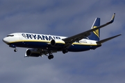 Ryanair Boeing 737-8AS (EI-DPW) at  Gran Canaria, Spain