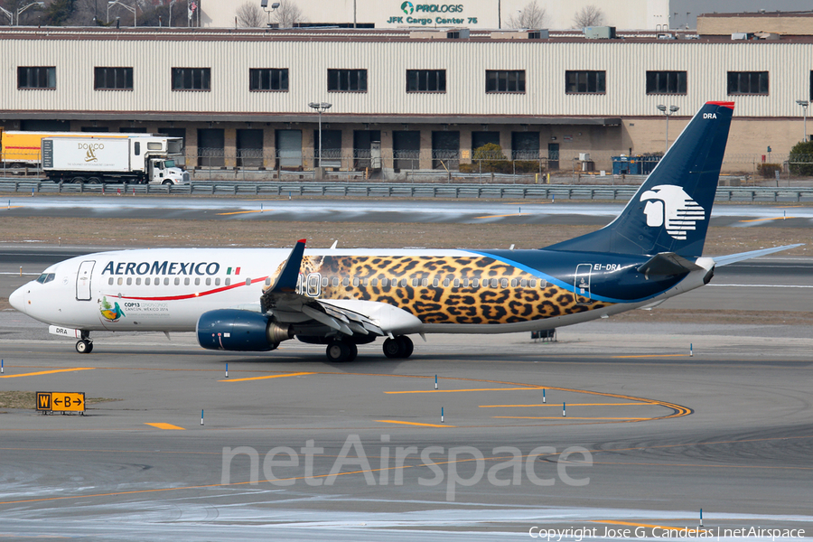 AeroMexico Boeing 737-852 (EI-DRA) | Photo 154946
