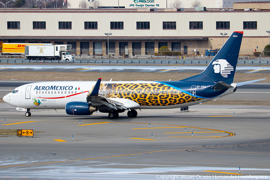 AeroMexico Boeing 737-852 (EI-DRA) | Photo 180683