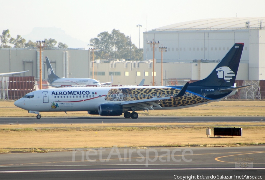 AeroMexico Boeing 737-852 (EI-DRA) | Photo 247703