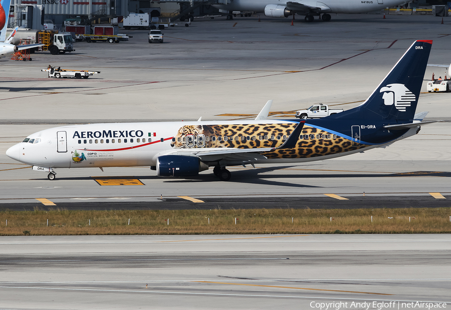 AeroMexico Boeing 737-852 (EI-DRA) | Photo 383085