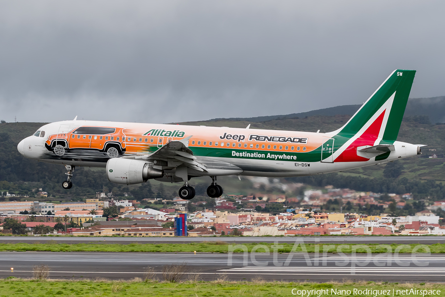 Alitalia Airbus A320-216 (EI-DSW) | Photo 132295