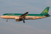 Aer Lingus Airbus A320-216 (EI-DVE) at  Amsterdam - Schiphol, Netherlands